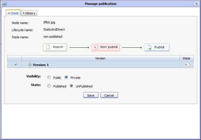 Example of publication UI in ECM Example of publication UI in ECM